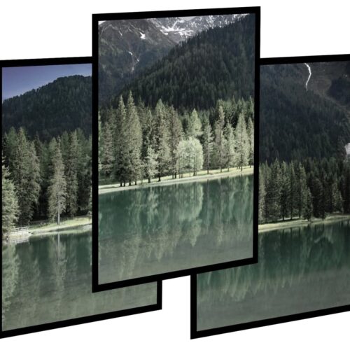 Nowoczesny zestaw 3szt obrazy do salonu - Las