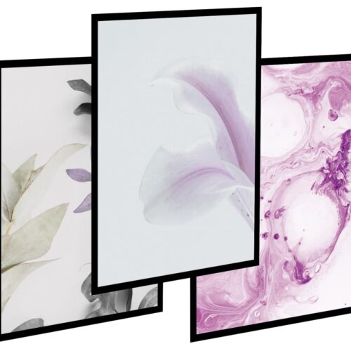 Obraz do salonu zestaw 3szt - Różowa lilia