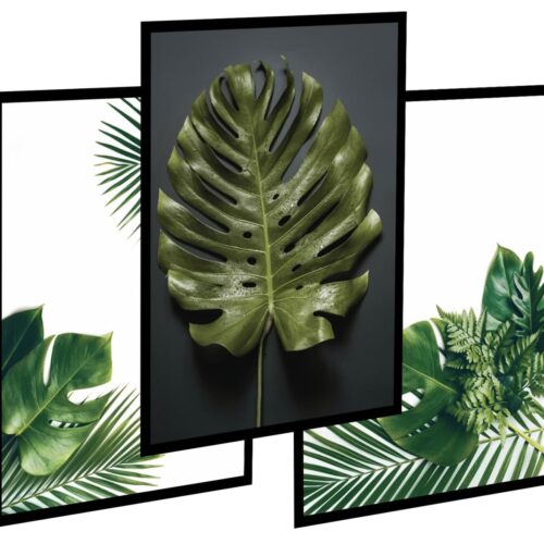 Obrazy na scianę, obrazy do salony zestaw 3szt  - Monstera_1