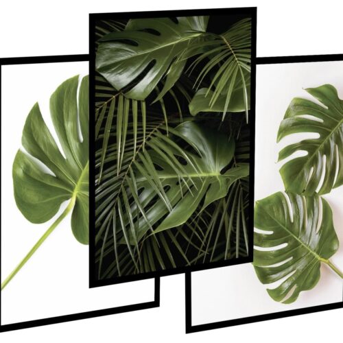 Obrazy na scianę obrazy, do salony zestaw 3szt - Monstera_2