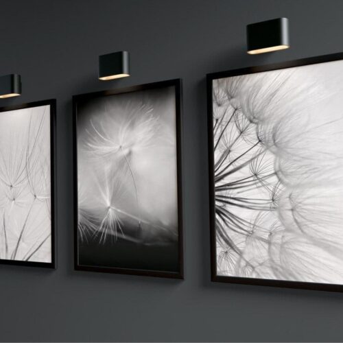 Obrazy na ścianę